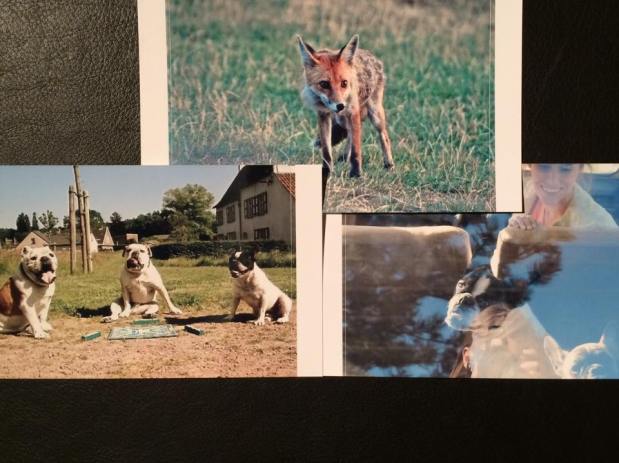 11072126_10152755035408441_401034748_n