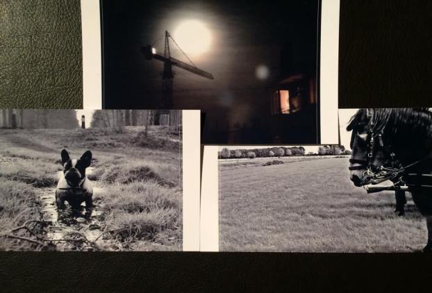 11072204_10152755035238441_1510092905_n